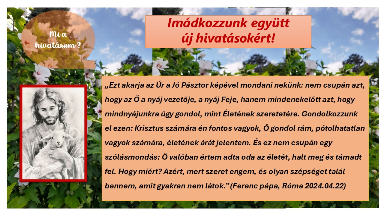 Imádkozzunk lelki hivatásokért!